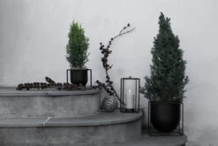 By Lassen Kubus 23 Pflanztopf, Schwarz -Geschäft Für Wohndekoration 132C1 IMGL9991