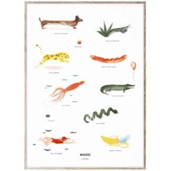 Poster The Mado Family, 50 X 70 Cm