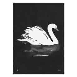 Poster Swan, 50 X 70 Cm