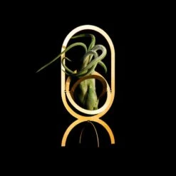 Air Trophy Pflanzenhalter, Messing -Geschäft Für Wohndekoration AIR TROPHY black