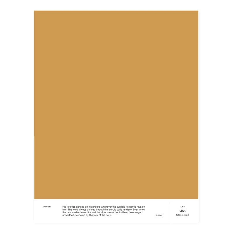 Farbmuster, LB3 MIO – Salty Caramel 1 Farbmuster, LB3 MIO – Salty Caramel