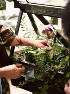 Design House Stockholm Greenhouse, Esche -Geschäft Für Wohndekoration DHS image7 2642 Greenhouse Lifestyle