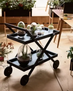 Design House Stockholm Mini-Gewächshaus Grow, L -Geschäft Für Wohndekoration DHS lifestyleimage 18