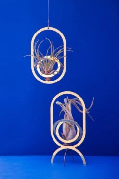 Air Trophy Pflanzenhalter, Messing -Geschäft Für Wohndekoration FUAIR TRO blue