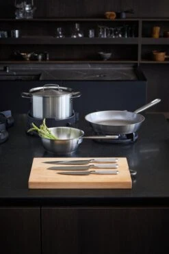 Fiskars All Steel Sauteuse, 2 L, 20 cm -Geschäft Für Wohndekoration Fiskars All Steel group Environment 02