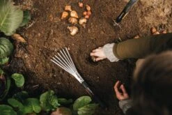 Fiskars Xact Grubber -Geschäft Für Wohndekoration Fiskars Garden Action Xact Trowel Hand rake 1027043 1027044