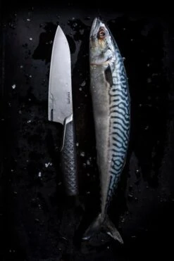 Fiskars Küchenmesser Titanium 16 Cm 9 Fiskars Küchenmesser Titanium 16 Cm -Geschäft Für Wohndekoration Fiskars Titanium Cooks knife 16cm 1027296 28229