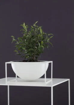 By Lassen Schale Kubus Centrepiece, Groß, Weiß 8 By Lassen Schale Kubus Centrepiece, Groß, Weiß -Geschäft Für Wohndekoration IMGL6752