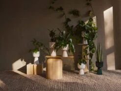 Iittala Nappula Blumentopf, 260 X 155 Mm, Beige -Geschäft Für Wohndekoration Iittala 2020 Nappula 1