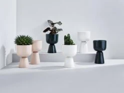 Iittala Nappula Blumentopf, 260 X 155 Mm, Beige -Geschäft Für Wohndekoration Iittala 2020 Nappula group 01 1