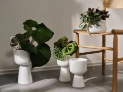 Iittala Nappula Blumentopf, 230 X 155 Mm, Weiß -Geschäft Für Wohndekoration Iittala 2021 Nappula 05