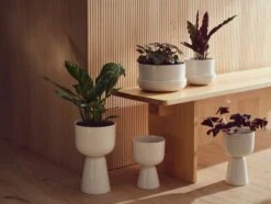 Iittala Nappula Blumentopf, 230 X 155 Mm, Weiß -Geschäft Für Wohndekoration Iittala 2022 S2 Nappula 07