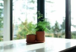 Klorofyll Topfset, Terrakotta -Geschäft Für Wohndekoration KLset1 1800