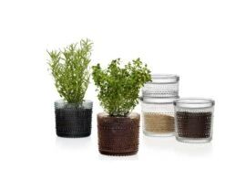 Iittala Kastehelmi Vorratsglas, 116 X 114 Mm, Transparent -Geschäft Für Wohndekoration Kastehelmijargreydesertcleargroup 2