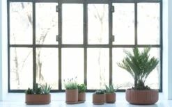 Klorofyll Topfset, Terrakotta -Geschäft Für Wohndekoration KlorofyllterracottabyAnderssenVoll