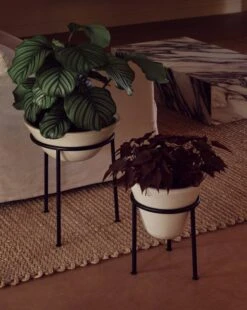 Menu Daiza Blumentopf, 35 x 25 cm, Elfenbeinfarben -Geschäft Für Wohndekoration MENU LS Daiza Planters