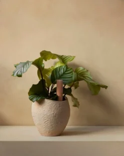 Menu Plantas Blumentopf, 24 cm, Elfenbeinfarben -Geschäft Für Wohndekoration MENU Plantas Planter Hydrous Watering Stick