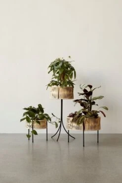 Menu Umanoff Pflanzgefäß, 69 Cm, Schwarz – Rattan -Geschäft Für Wohndekoration MENU Planters