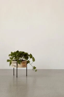 Menu Umanoff Pflanzgefäß, 27 Cm, Schwarz – Rattan 8 Menu Umanoff Pflanzgefäß, 27 Cm, Schwarz – Rattan -Geschäft Für Wohndekoration MENU Planters 5