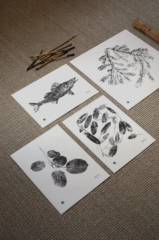 Zander Poster, 40 X 30 Cm 3 Zander Poster, 40 X 30 Cm – Bild 3