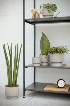 Rosendahl Blumentopf, 15 cm, Sand -Geschäft Für Wohndekoration ROS 206 20632 RO Flowerpots in livinroom 01 300dpi