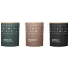 Skandinavisk Duftkerzen-Set 3 Stück, HIBERNATE