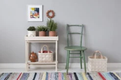 Taimi Pflanzenständer Mit Niedrigem Kasten -Geschäft Für Wohndekoration TAIMI Plant Tray f3