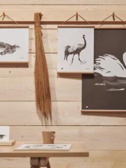 Poster Swan, 50 X 70 Cm -Geschäft Für Wohndekoration TJI Habitare2018 photoUntoRautio6