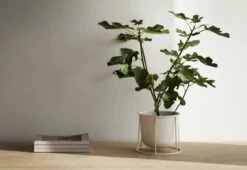 Menu Wire Gestell, Klein, Weiß -Geschäft Für Wohndekoration Wire Pot High Res 300dpi 425788