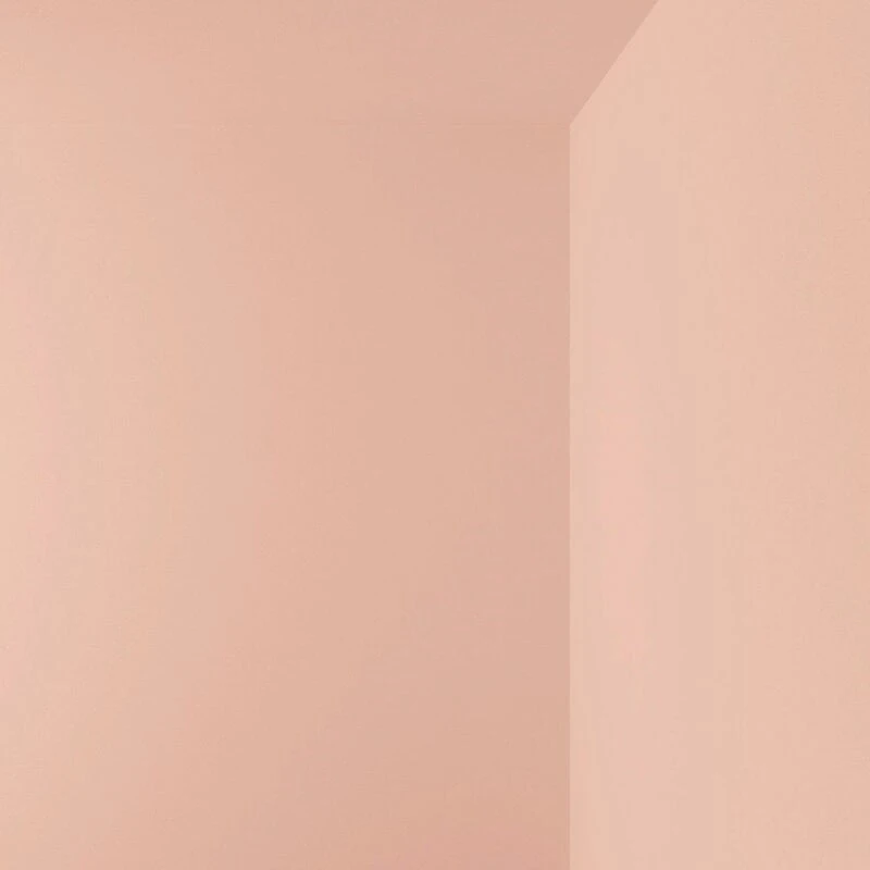 Innenfarbe, 3,6 L, LB5 EDITH – Dusty Pink 6 Innenfarbe, 3,6 L, LB5 EDITH – Dusty Pink – Bild 6