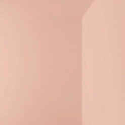 Farbmuster, LB5 EDITH – Dusty Pink -Geschäft Für Wohndekoration cover story painted corner LB5 EE