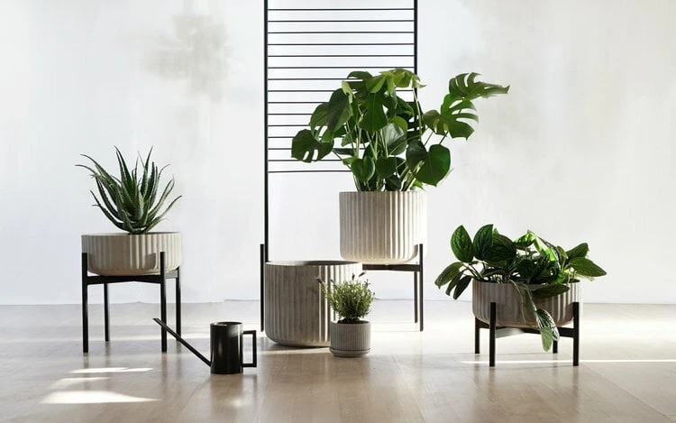 Blumentopf, Mittelgroß, Grau 5 Blumentopf, Mittelgroß, Grau – Bild 5