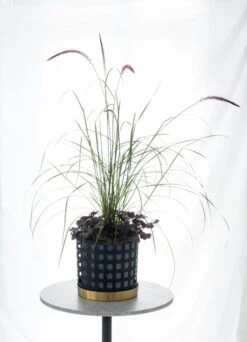 Klong Blumentopf Trio, Blau, Quadrat -Geschäft Für Wohndekoration trio pot noresize